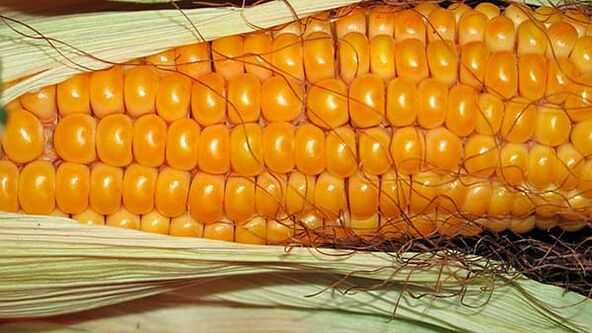 Ko negalima valgyti laikantis keto dietos